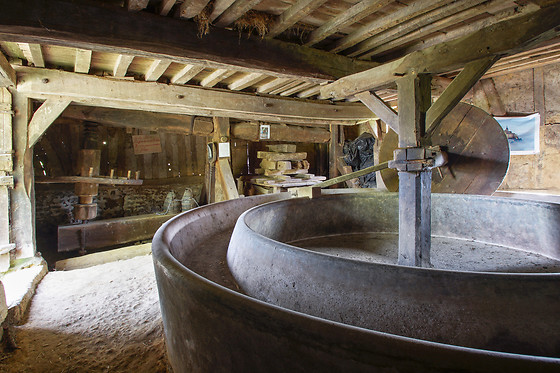 La Ferme du Pressoir - photo 6