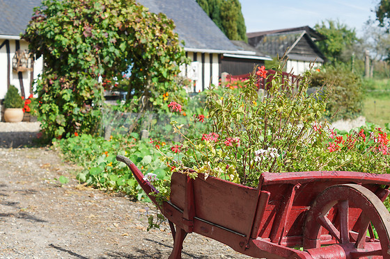La Ferme du Pressoir - photo 14