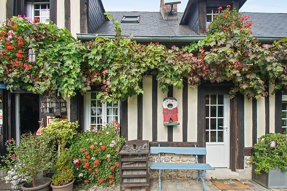 La Ferme du Pressoir - photo 11