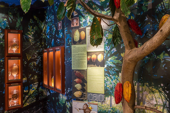 Choco Story, musée du chocolat - photo 15