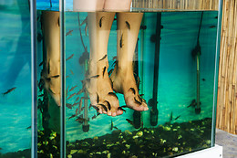 Fish massage