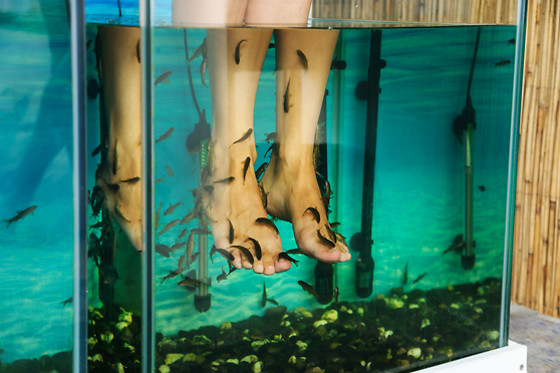 Fish massage - photo 0
