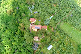 Fuga tra i vigneti di una notte con colazione e degustazione di vini all'Agriturismo la Grotta in provincia di Pisa