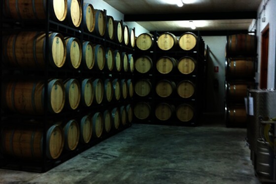 BODEGAS AL ZAGAL - photo 0
