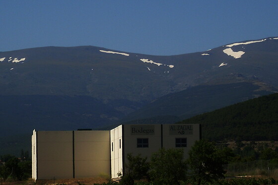 BODEGAS AL ZAGAL - photo 1