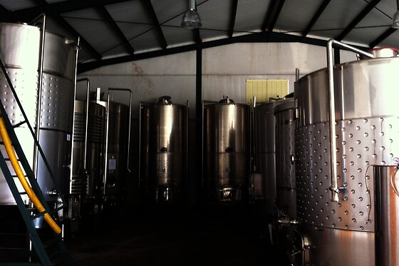 BODEGAS AL ZAGAL - photo 2
