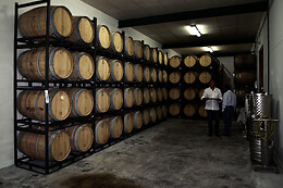 BODEGAS AL ZAGAL