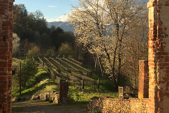 Centovigne S.a. - photo 4