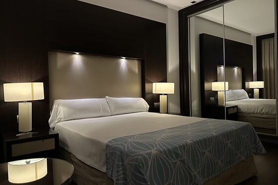 HOTEL PALACIO ALBACETE & SPA - photo 3