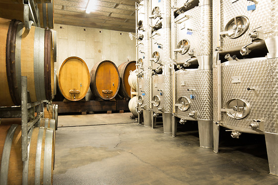 Domaine Pierre Adam - photo 8