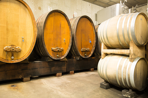 Domaine Pierre Adam - photo 3