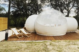 SomNid'Bulle