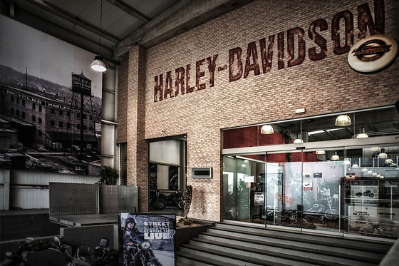 HARLEY DAVIDSON BILBAO - photo 4