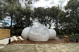 SomNid'Bulle