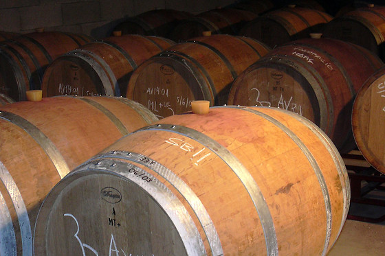 CELLERS BARONIA DEL MONTSANT - photo 2