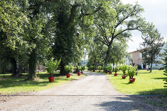 Château Clos Mignon - photo 8