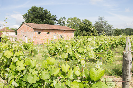 Château Clos Mignon - photo 11