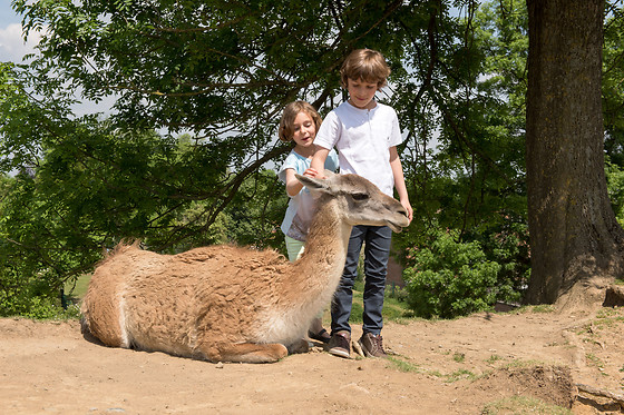 Parc zoologique de Maubeuge - photo 3