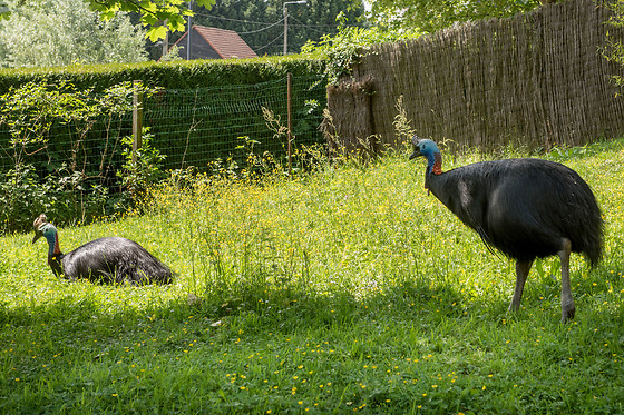 Parc zoologique de Maubeuge - photo 4