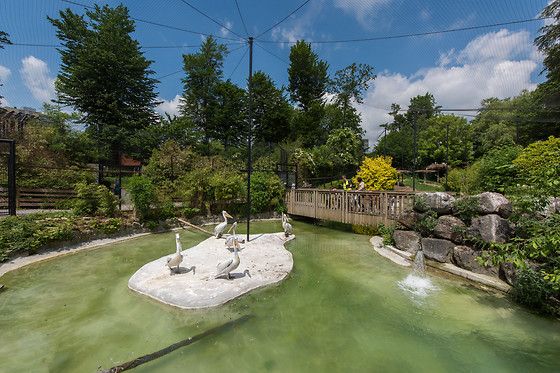 Parc zoologique de Maubeuge - photo 5