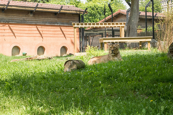 Parc zoologique de Maubeuge - photo 24