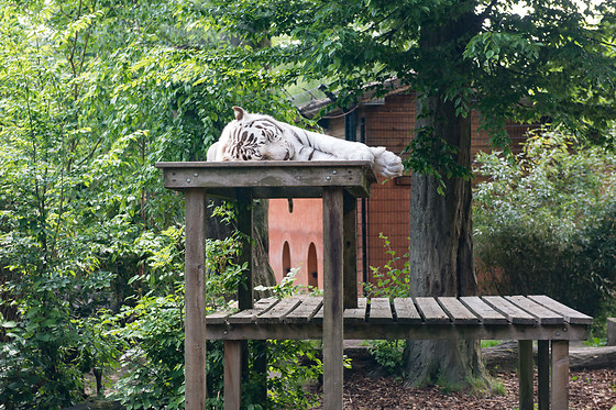Parc zoologique de Maubeuge - photo 12