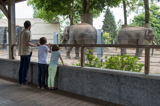 Parc zoologique de Maubeuge - photo 8