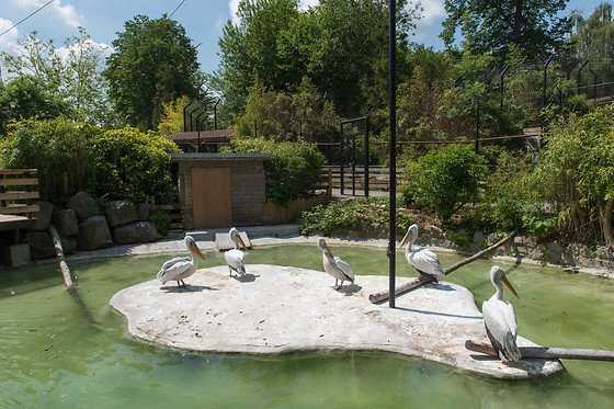 Parc zoologique de Maubeuge - photo 9