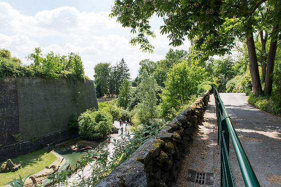 Parc zoologique de Maubeuge - photo 10