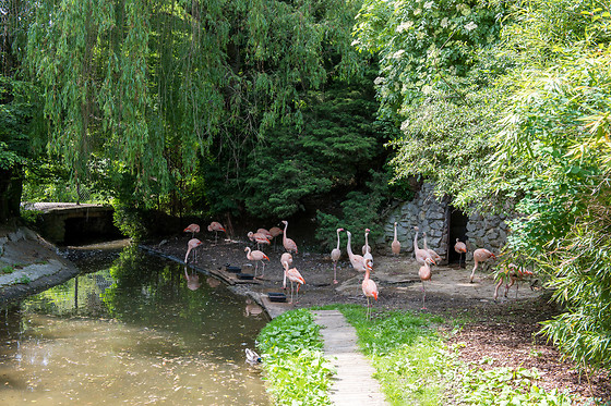 Parc zoologique de Maubeuge - photo 13