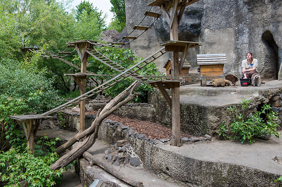 Parc zoologique de Maubeuge - photo 14
