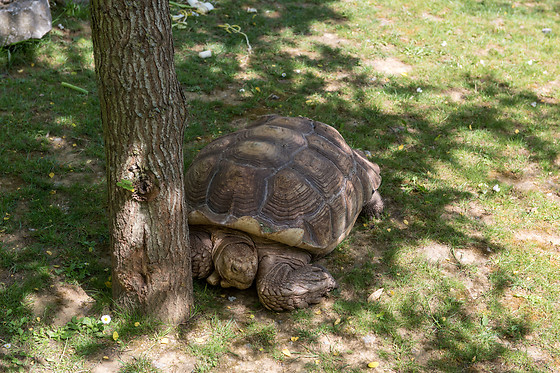 Parc zoologique de Maubeuge - photo 16