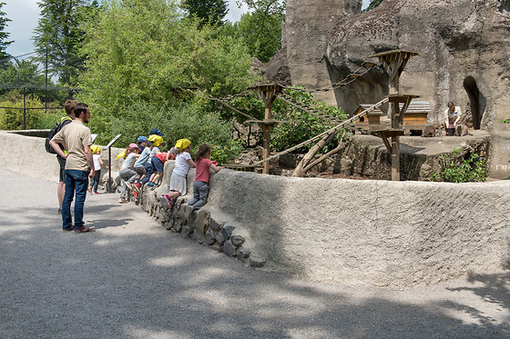 Parc zoologique de Maubeuge - photo 17