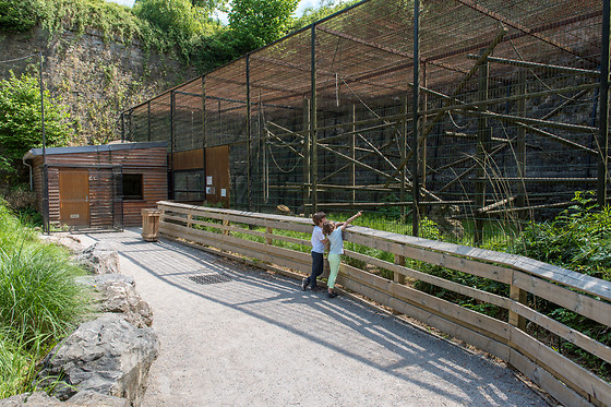 Parc zoologique de Maubeuge - photo 19