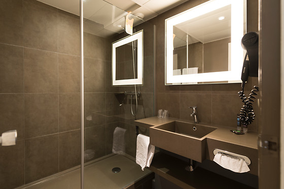 Hotel Novotel Survilliers Saint Witz - photo 21