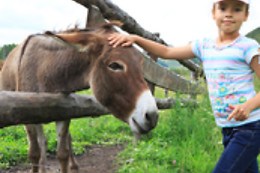 EL TRASGU LA FRONDA