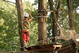 AVENTURA ENTREPINOS VIZNAR