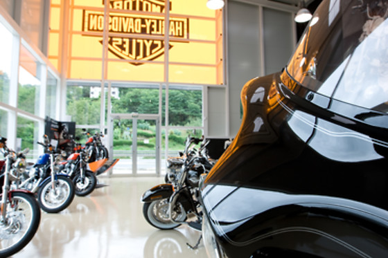 HARLEY DAVIDSON BILBAO - photo 6