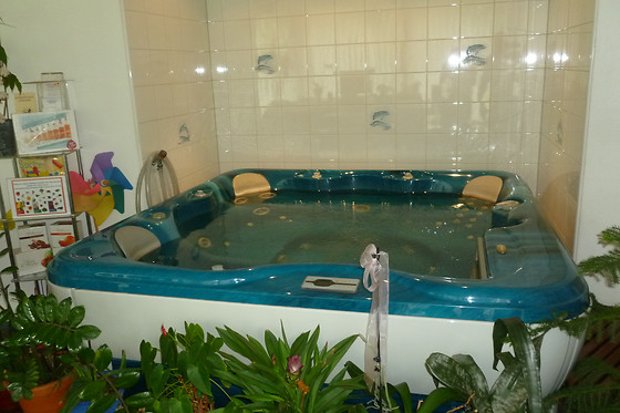 Delphenix B&B - Centro Talassoterapia Antismoking - photo 5