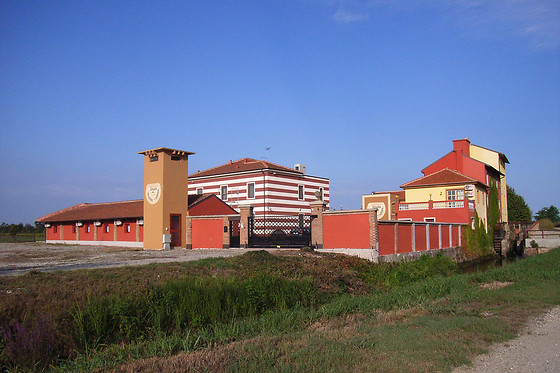Tenuta del Vecchio Mulino - photo 1