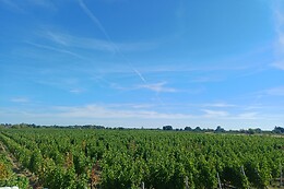 Domaine du pont de Livier
