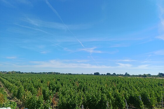 Domaine du pont de Livier - photo 7
