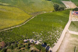 Azienda Vitivinicola La Caminà