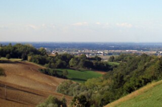 Visita alla cantina con degustazione di vino e bottiglia in omaggio all'Agriturismo La Madonnina in provincia di Parma