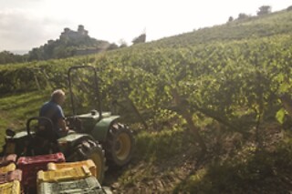 Visita alla cantina con degustazione di vino e bottiglia in omaggio all'Agriturismo La Madonnina in provincia di Parma