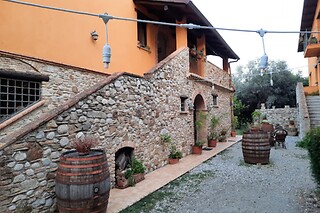 Visita alla cantina con degustazione di tre vini presso l'Agriturismo Feudo Gagliardi in provincia di Reggio Calabria