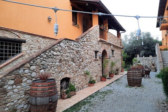 Visita alla cantina con degustazione di tre vini presso l'Agriturismo Feudo Gagliardi in provincia di Reggio Calabria