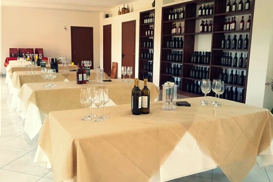 Visita alla cantina con degustazione di tre vini presso l'Agriturismo Feudo Gagliardi in provincia di Reggio Calabria