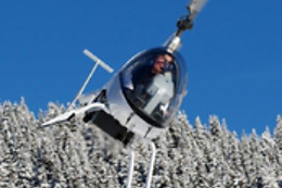 Les Volatiles
