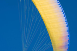 Les Volatiles